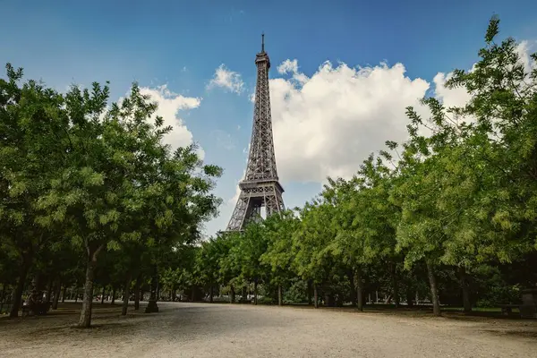 Прекрасний Вид Ейфелеву Вежу Щільними Деревами Парку — стокове фото