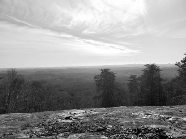 丘を背景にした木々の灰色のショット — ストック写真