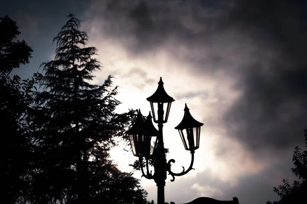 Bulutlu Gökyüzüne Karşı Sokak Işıklarının Ladin Ağacının Silueti — Stok fotoğraf