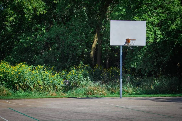 Egy Elhagyatott Kosárlabda Pálya Egy Napfényes Parkban — Stock Fotó
