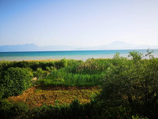Μια Γαλήνια Θέα Της Ακτής Της Λίμνης Γρασίδι — Φωτογραφία Αρχείου