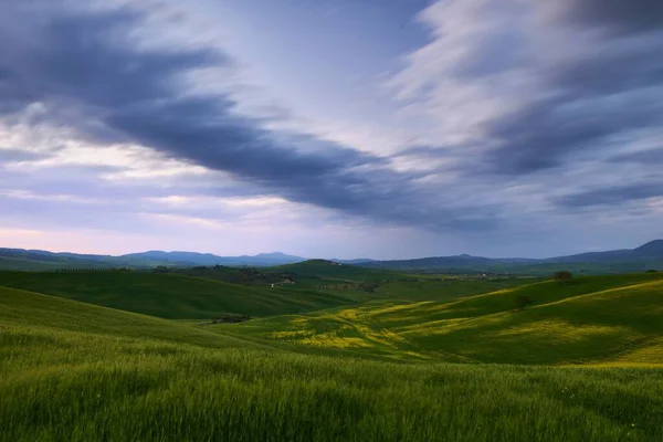Вид Воздуха Красивый Желтый Зеленый Луг Темным Облачным Небом — стоковое фото