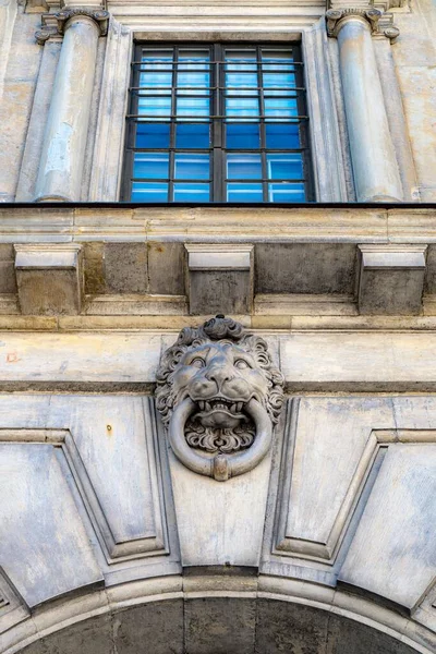Uma Foto Vertical Dos Detalhes Sujos Leão Palácio Real Área — Fotografia de Stock