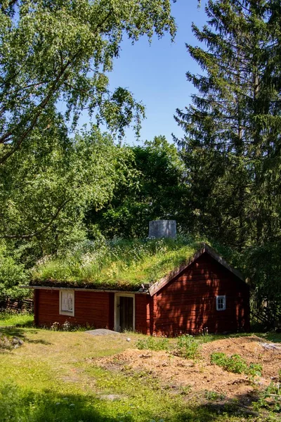 瑞典屋顶上生长着植物和茂盛的绿色植被的红木房子的垂直截图 — 图库照片