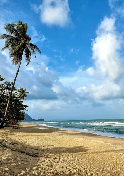 Een Prachtig Tropisch Zandstrand Met Palmbomen Spetterende Golven Een Verticale — Stockfoto