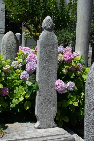 Vertikal Bild Sten Skulptur Person Parken Med Hortensia Blomma — Stockfoto