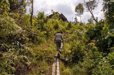 Gün ışığında bahçe yolunda yürüyen güzel bir kadın manzarası.