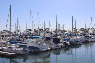 Dana Point Limanı, Kaliforniya 'da sıra sıra tekne ve yat manzarası.
