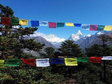 Himalayalar 'da yapılan bir yolculukta renkli dua bayraklarının yakın görüntüsü