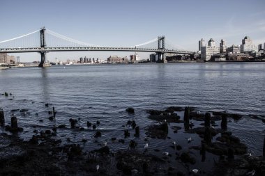 Şehrin ufuk çizgisi ve güneşli bir sabahta bir köprü