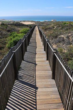 Portekiz, Cascais 'deki Cresmina kumullarında bir sahil yürüyüşü.