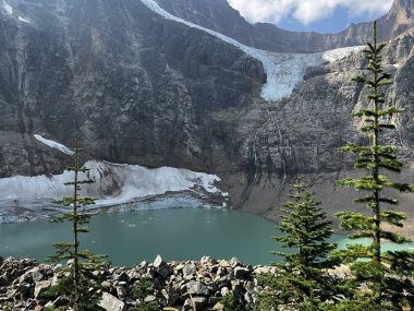 Melek Buzulu 'nun güzel manzarası. Edith Dağı Cavell, Jasper Ulusal Parkı, Kanada.