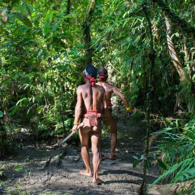 Siberut, Endonezya 'da bir ormanda avlanırken yerel bir kabilenin adamları.