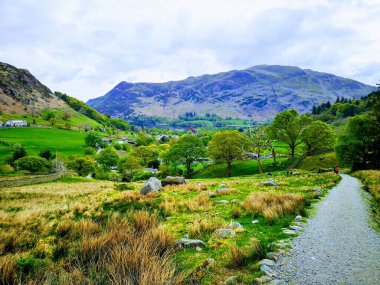 Dağlık bir arazinin manzarası, yemyeşil bir doğa bulutlu bir arka planda.