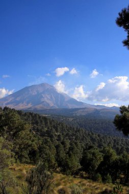 Dağlardaki ağaçların güzel manzarası