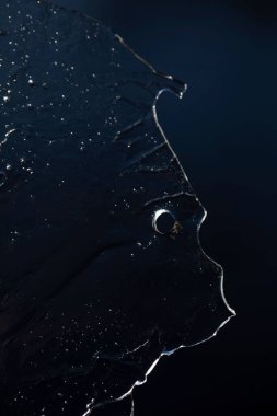 Siyah arka plandaki bir yüze benzeyen bir buz parçasının dikey yakın çekimi.