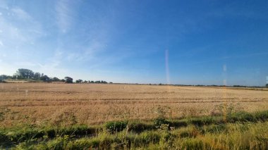 Mavi gökyüzünün altında biçilmiş bir tarlanın manzarası
