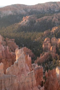 Bryce Canyon Ulusal Parkı, Utah 'ta kaya oluşumlarıyla güzel bir jeolojik manzara.