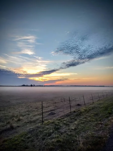 Вертикальний Знімок Фейслінгу Полі Техасі Під Час Заходу Сонця — стокове фото