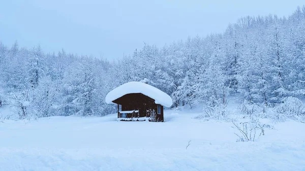 在白雪覆盖的田野中央的小木屋 后面有树 — 图库照片