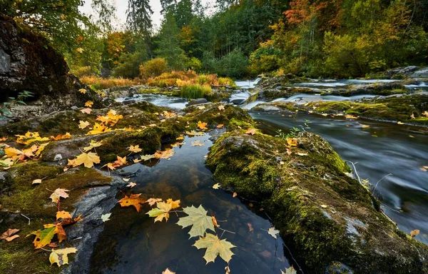 Una Hermosa Toma Una Cascada Rocosa Bosque Otoño — Foto de Stock