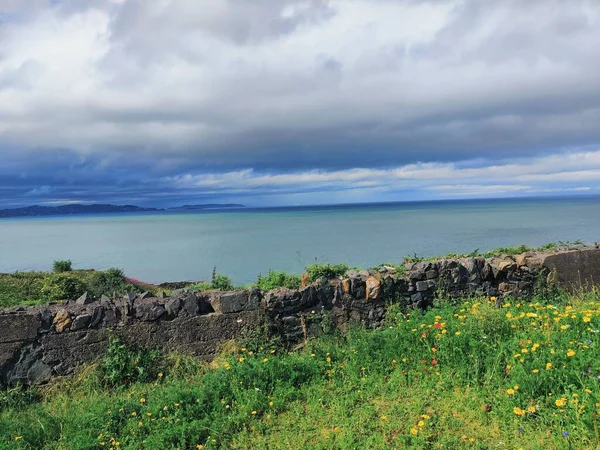 Eine Nahaufnahme Einer Steinbarriere Und Sommerpflanzen Vor Einem Stillen Meer — Stockfoto