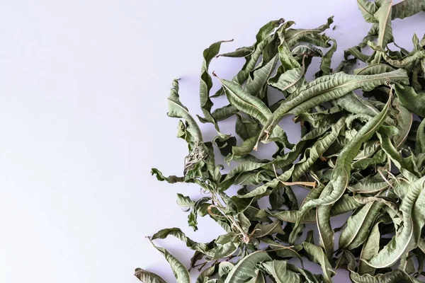 Beyaz Bir Yüzey Üzerinde Kurumuş Çay Bitkilerinin Yakın Plan Çekimi — Stok fotoğraf