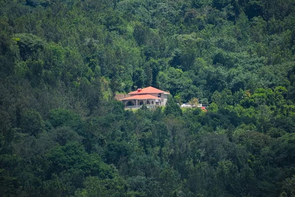 緑豊かな森の真ん中にある家 — ストック写真