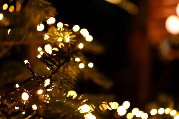 Noel Ağacındaki Noel Işıklarının Yakın Plan Çekimi — Stok fotoğraf