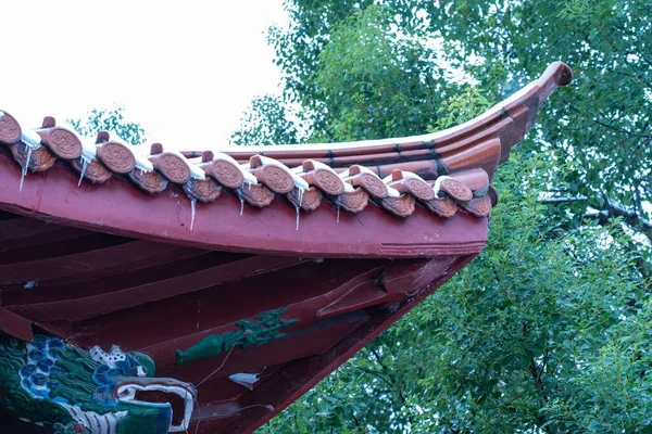 Closeup Little Ice Needles Hanging Pagoda Roof Captured Leafy Tree — Stock Photo, Image