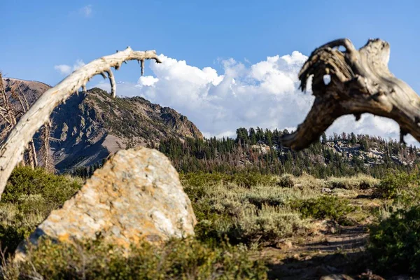Kaunis Luonto Maisema Mammoth Järvet Tiheä Vihreät Metsät Vuoret Taustalla — kuvapankkivalokuva