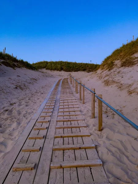 Eine Vertikale Aufnahme Der Holztreppe Strand Umgeben Von Kleinen Grünen — Stockfoto