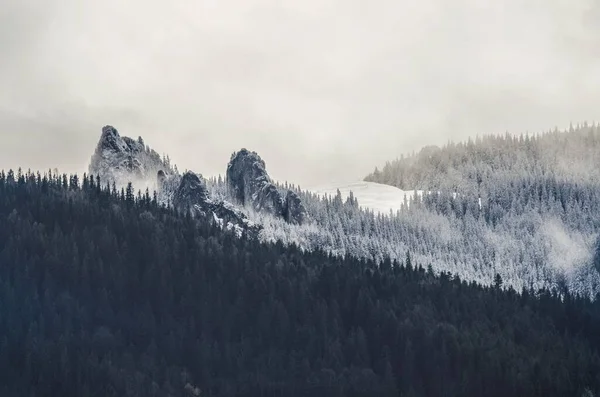 Een Landschap Van Betoverende Besneeuwde Beboste Heuvels Geweldig Voor Een — Stockfoto