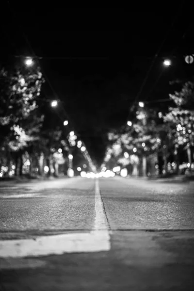 夜になると街の通りを縦長のグレースケールで撮影 — ストック写真