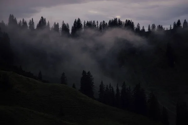 Uma Vista Aérea Uma Bela Floresta Perto Das Montanhas Vorarlberg — Fotografia de Stock