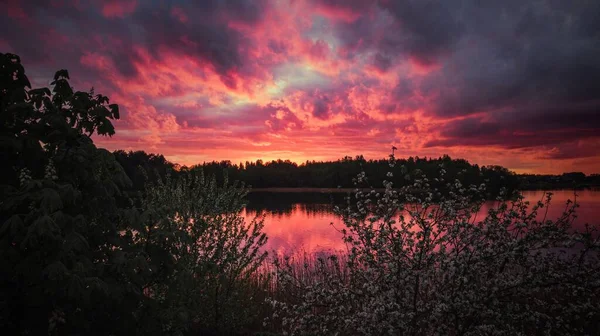 Lac Calme Entouré Par Forêt Sombre Avec Coucher Soleil Rose — Photo