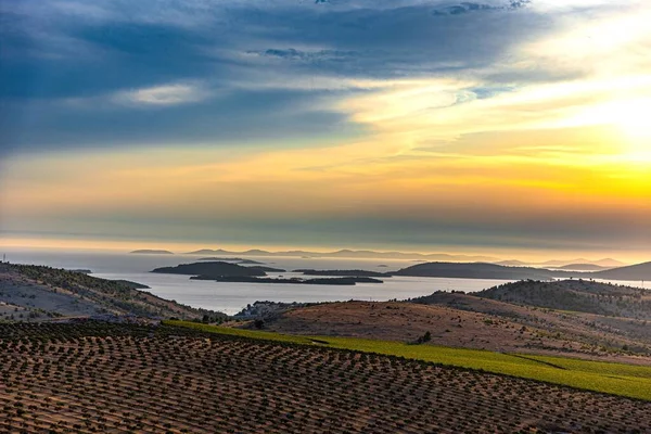 Uma Vista Deslumbrante Uma Vinha Costa Croata Durante Nascer Sol — Fotografia de Stock