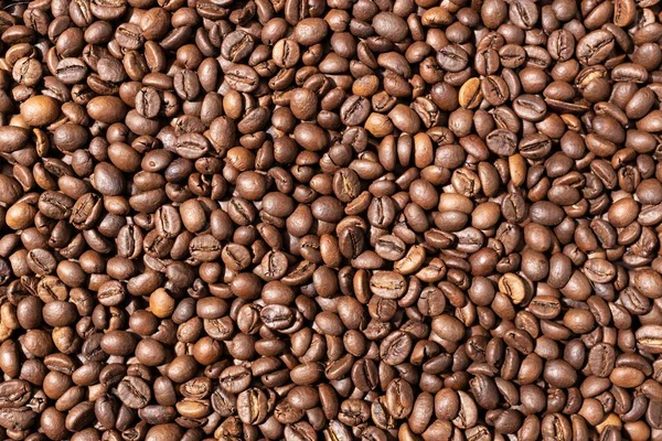 Pieczona Kawa Ziarna Tła Tekstury Widok Góry Pełna Ramka — Zdjęcie stockowe