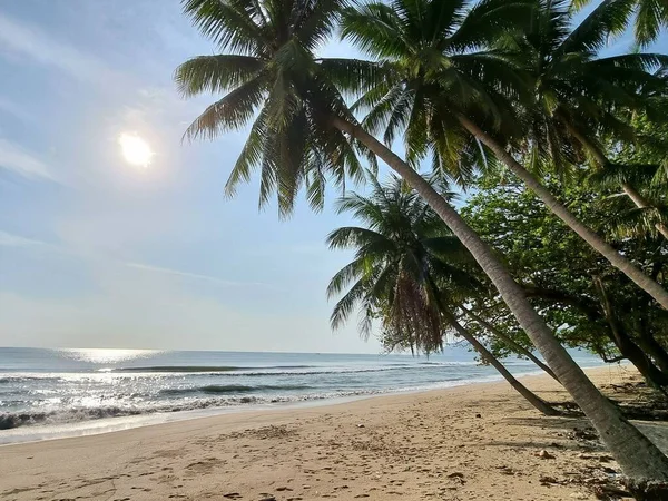 Güzel Tropikal Kumlu Bir Sahil Palmiye Ağaçları Sıçratan Dalgalarla — Stok fotoğraf