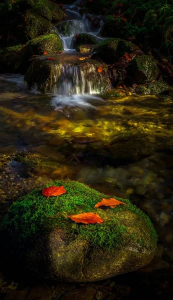 秋の森の中の小さな滝 — ストック写真