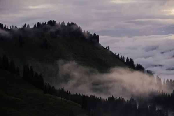 Aerial View Beautiful Forest Mountains Vorarlberg Austria — Stock Photo, Image