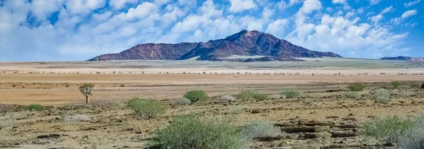 Drżący Widok Sawannie Namibii Afrykański Krajobraz — Zdjęcie stockowe