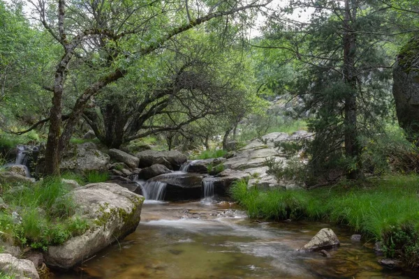 Malebný Pohled Vodopád Rascafrii Očistné Stezce Horách Madridu Španělsko — Stock fotografie