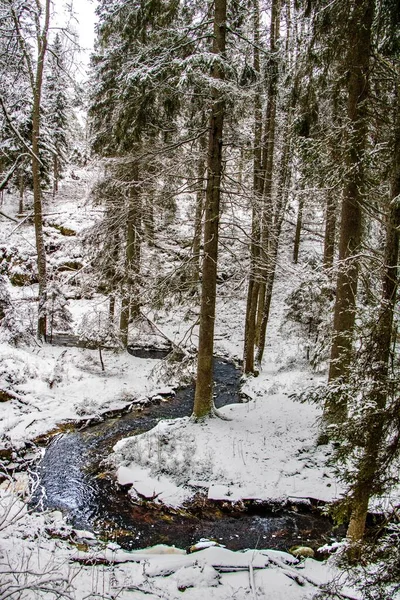 雪に覆われた森の中を流れる川の垂直ショット — ストック写真