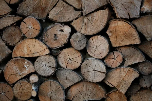 stock image A closeup of a heap of cut logs