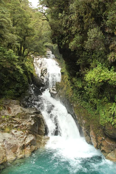 Plan Vertical Cascade Entouré Arbres Verts Nouvelle Zélande — Photo