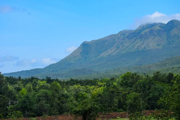 背景に山のある鬱蒼とした緑の森の上の青い空 — ストック写真