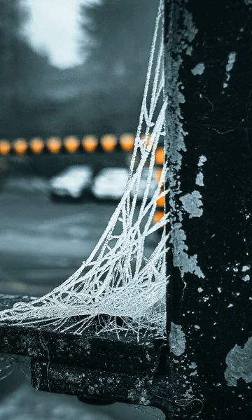 바깥추운 얼어붙은 거미줄의 매크로 — 스톡 사진