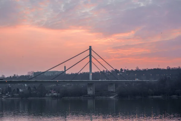 Kábeles Szabadság Híd Újvidéken Szerbiában Napkeltekor — Stock Fotó