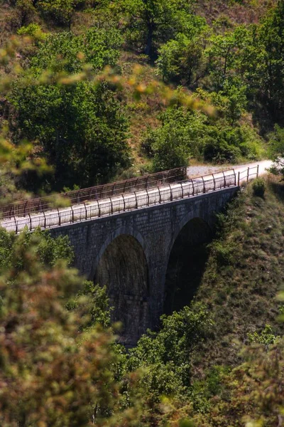 Plano Vertical Del Estrecho Puente Con Arcos Rodeados Frondosos Árboles —  Fotos de Stock